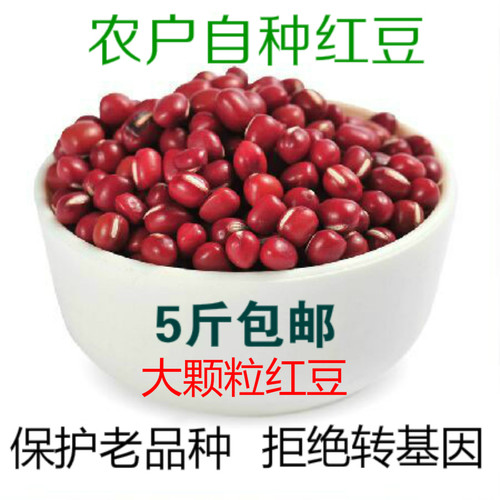 新鲜大红豆当季新粮苏北红豆