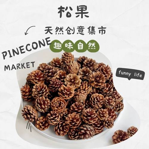 天然松果松塔圣诞装饰真松球手工自然物学校幼儿园环创diy干材料