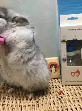 兔子龙猫豚鼠水瓶饮水器