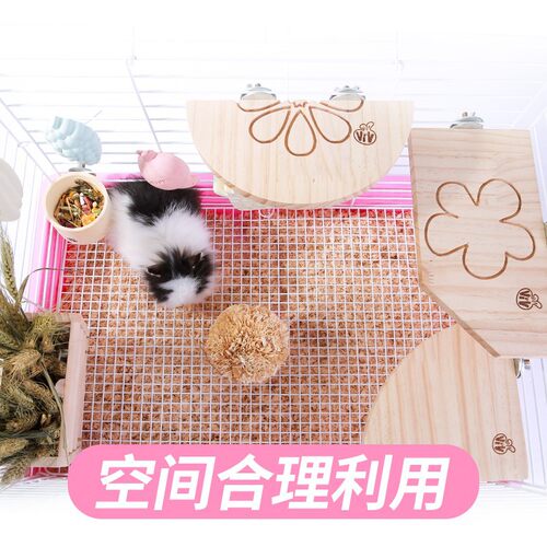 各式跳板笼内家具布置木楼梯扇形跳板L型跳板跳台跳柱磨牙木踏板