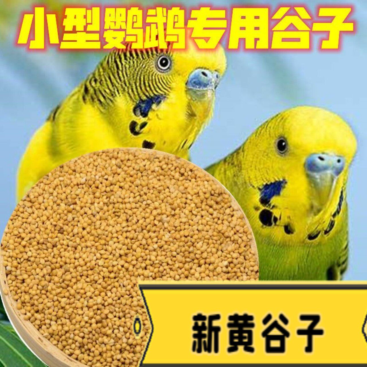 1斤新黄谷子带壳小米虎皮牡丹中小型鹦鹉文鸟粮鸟食 1斤麻料