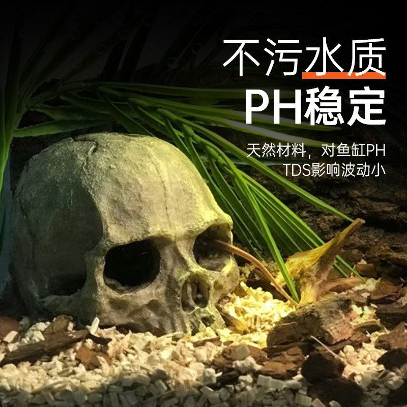 爬宠骷髅头骨躲避洞窝造景装饰