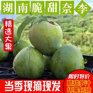 现摘现发湖南奈李新鲜水果5斤大李子孕妇桃形李油奈空心赖李青奈