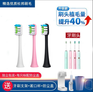 通用OSGA伊茉immer赫文怡齿堂懒贝贝lanbeibeiT5电动牙刷头替换头