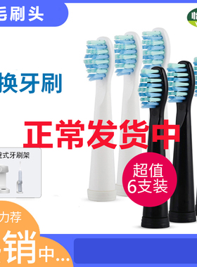 通用电动牙刷头适配必爽BISUAN德雁-康贝宁替换头虾选LD1-1