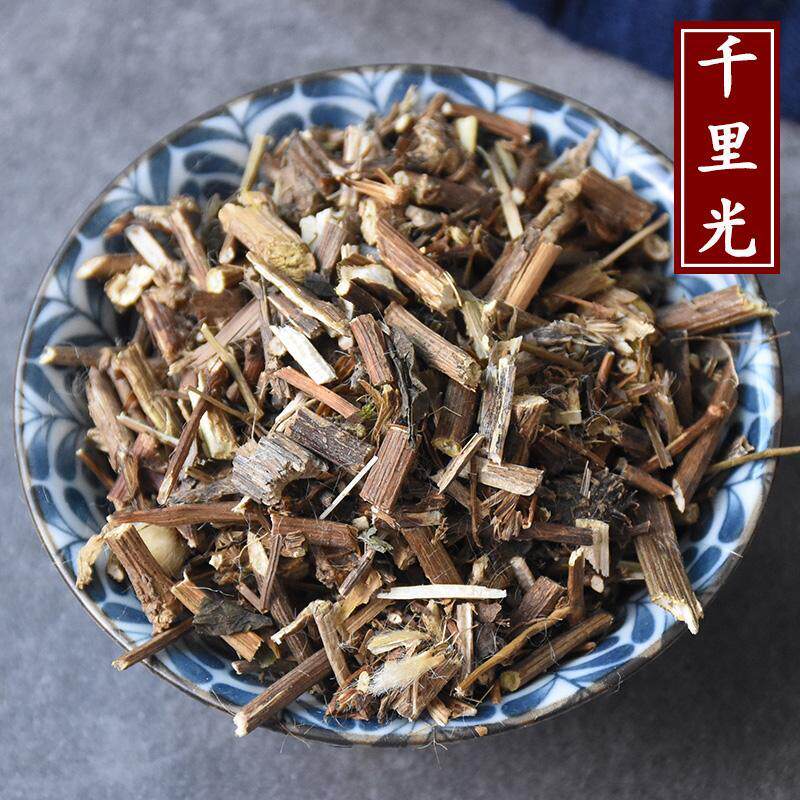 云南野生千里光中药材九里明 九里光 黄花母 九龙光 九岭光 500克