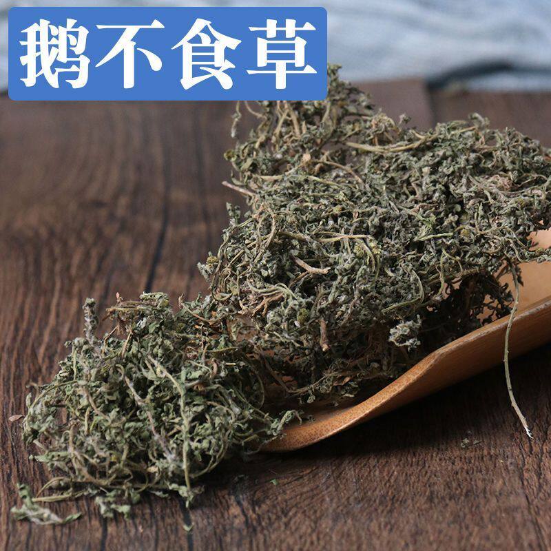 云南野生鹅不食草中药材自然晒干鹅不食草粉饿不食草中草药