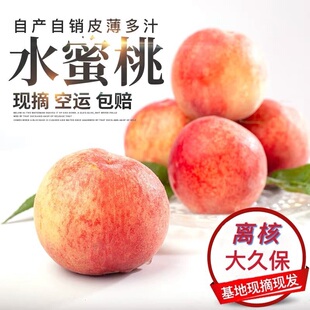 河北顺平正宗离核大久保桃桃现摘现发顺平新鲜水果应季包邮5斤