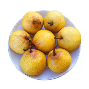 东北鞍山特产葫芦梨尖把梨尖吧酸小酸梨秋子梨软糯酸甜口可打冻梨