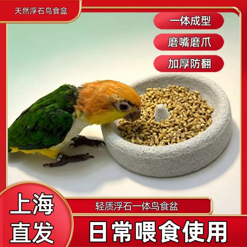 鹦鹉浮石食盒加厚防翻磨嘴磨爪