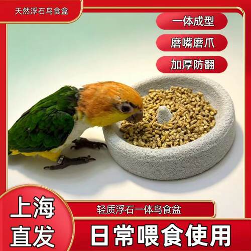 鹦鹉浮石食盒加厚防翻磨嘴磨爪