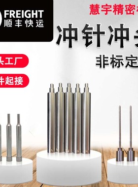 模具冲针冲头T冲skd11配件定做制非标五金配件圆柱销定位销导柱