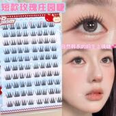 正统韩睫 短款 玫瑰庄园假睫毛自然仿真纯欲清透上镜存在感免胶睫