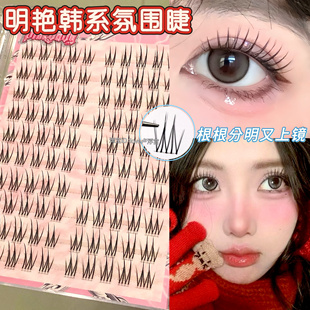 一款韩味很足的美睫!玫瑰庄园假睫毛自然上镜毛流分段上镜网感