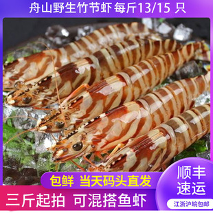 舟山野生竹节虾鲜活水产海捕食用新鲜活冻九节虾斑节虾13-15头