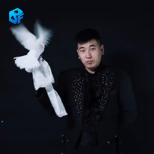 北方魔术 空手出丝巾闪现机关舞台出花球空手出牌震撼魔术道具