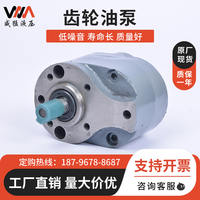 量大价优齿轮油泵威猛