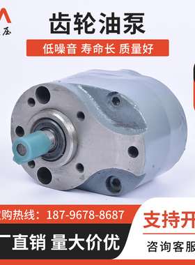 CB-B40/B50/B63/B80/B100/B125/B160液压XCB XTCB TXCB齿轮油泵F