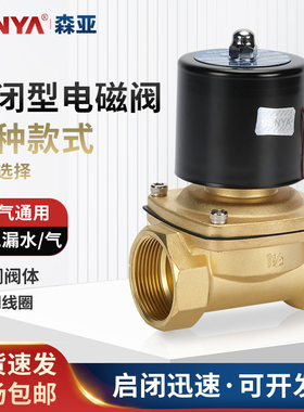 森亚SENYA常闭水阀电磁阀2w-025-082w-040-10 2w-160-15铜阀铝线