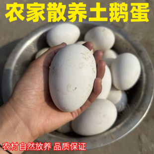 12枚新鲜土鹅蛋农村正宗散养特大鹅蛋纯天然原生态放养孕妇放心蛋