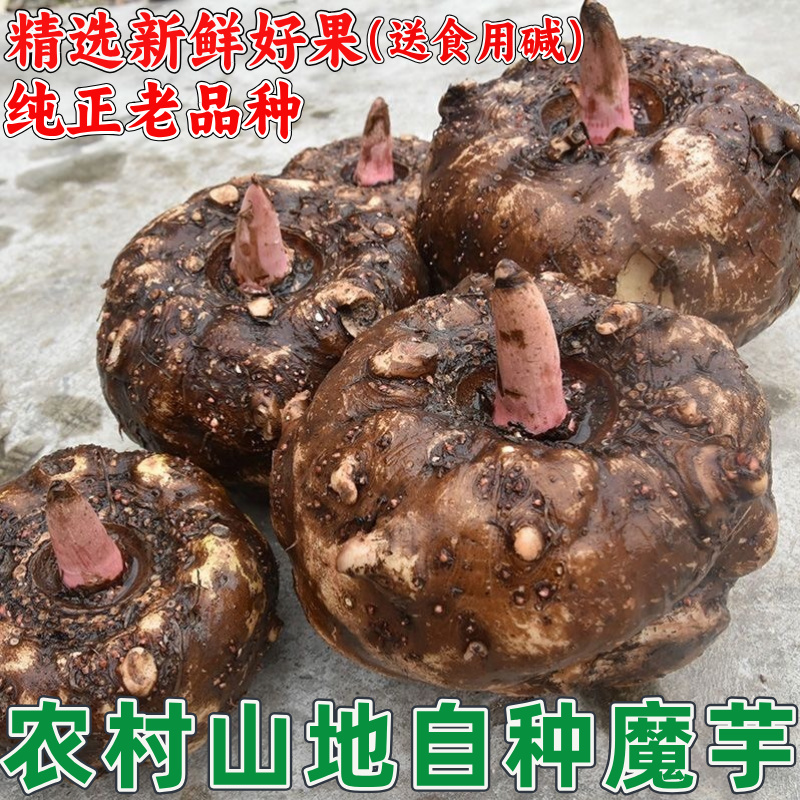 新鲜魔芋现挖大魔芋头魔芋豆腐原材料农家花魔芋9斤装精选高品质