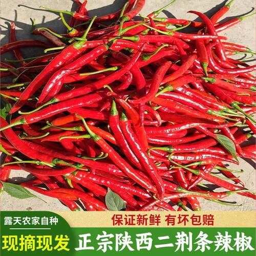 红辣椒新鲜二荆条薄皮红线椒农家自种长尖椒海椒泡椒剁椒酱豆瓣酱