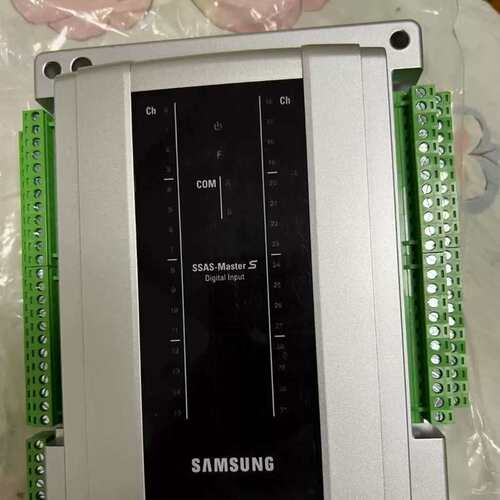 议价非标价SAMSUNG SSAS-Master S Digal In