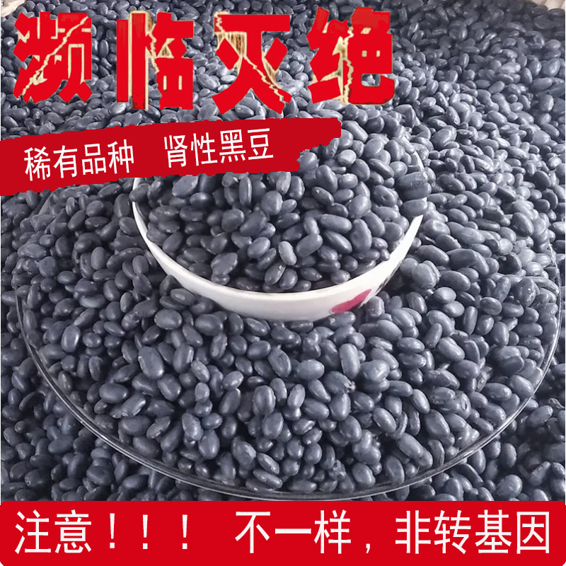 24非转基因黑豆农家黑豆肾型老品种打豆浆黄心黑豆发芽黑豆年250g