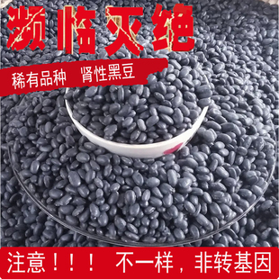24非转基因黑豆农家黑豆肾型老品种打豆浆黄心黑豆发芽黑豆年250g