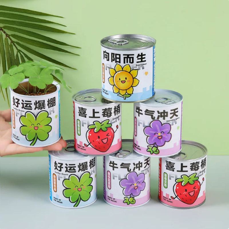 儿童节罐装种植盆栽生日礼品植物盲盒全班分享六一礼物幼儿园奖品