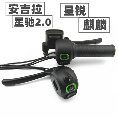 适用于新日电动车星锐G4星驰20麒麟安吉拉左右组合开关油门转把手