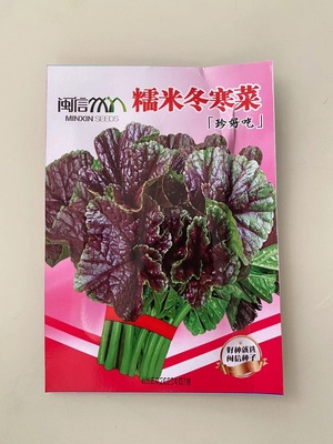 糯米冬寒菜种籽闽信多次采收