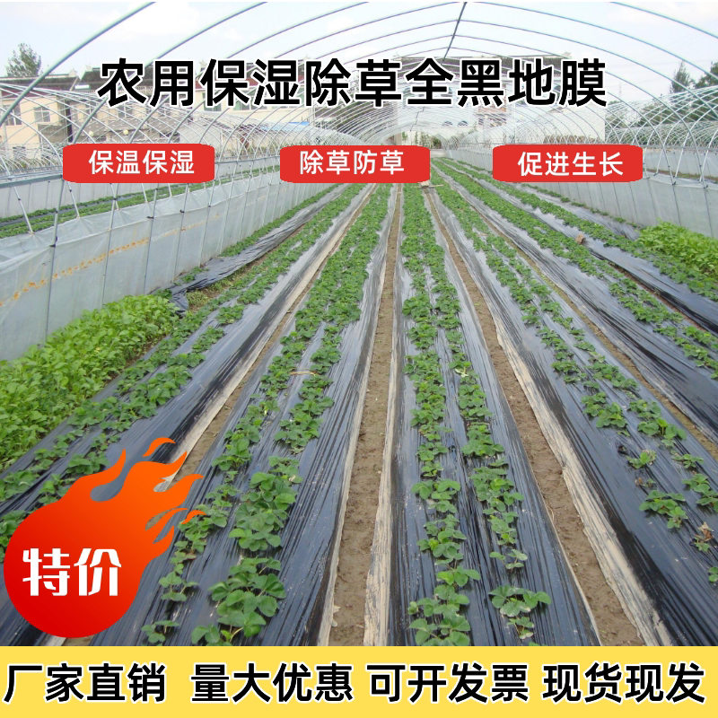农用种植黑色地膜防长草塑料薄膜
