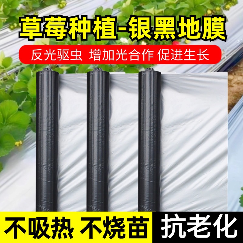 聚乙烯保温防虫除草银黑地膜