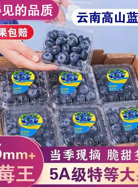 云南高山花香蓝莓头茬鲜果L25特大果怡佳颗沃应当季水果整箱京东