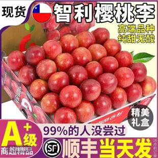 智利进口樱桃李子新鲜水果礼盒装纯甜无酸A级精品顺丰空运