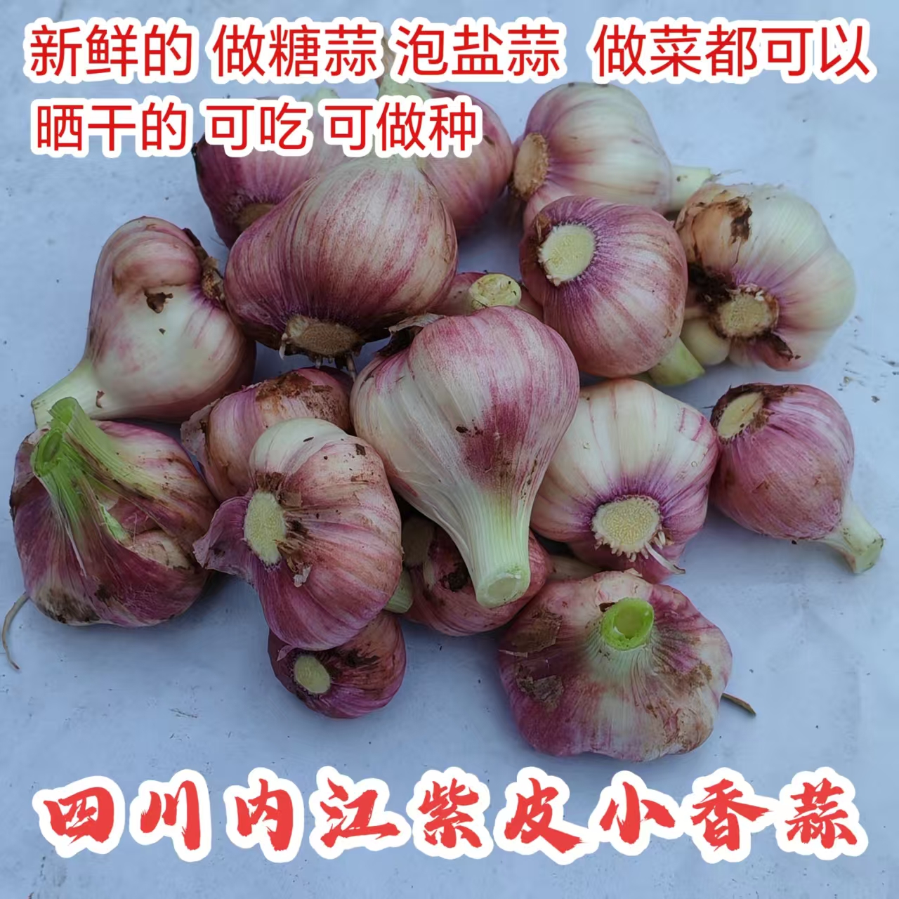 四川内江本地 紫皮小香蒜 红皮大蒜 香蒜 蒜苗炒回锅肉 蒜瓣 种子