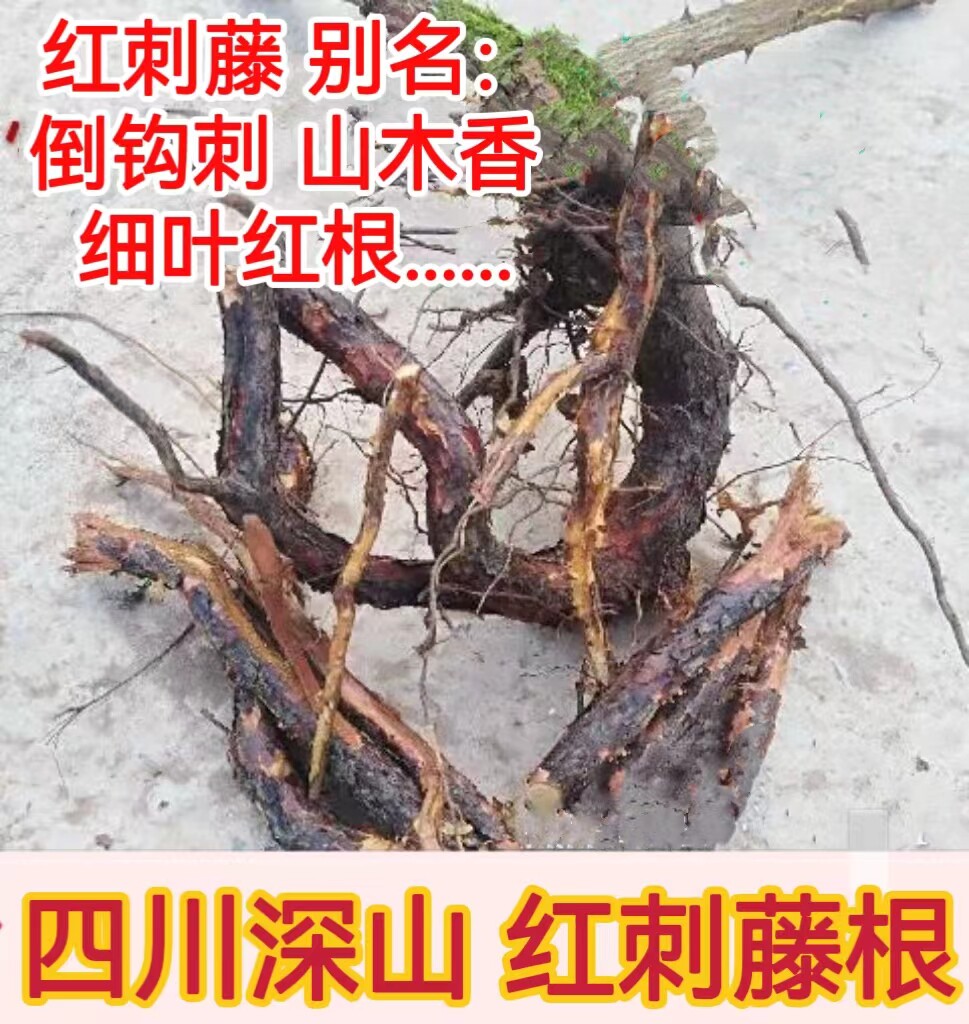 药材 红刺藤根 小和尚头 细叶刺根 倒钩刺 山香木纯根 28一斤包邮