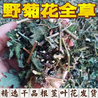 精选 野菊花全草 黄菊花藤 根茎叶花 晒干药材泡茶泡澡泡脚枕芯料