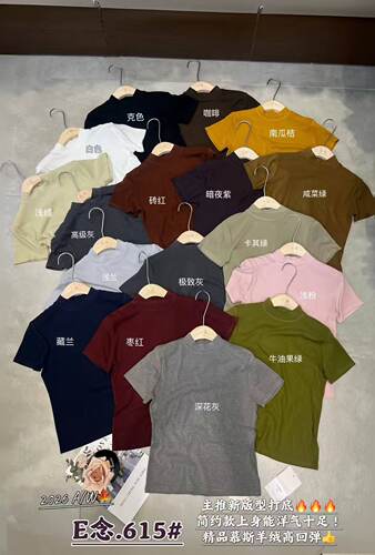 E念615 早秋新款韩版修身显瘦百搭圆领短袖上衣女休闲运动T恤打底