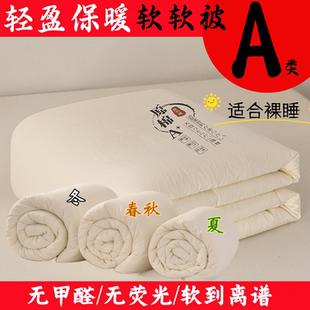 全棉大豆纤维被夏被空调被夏凉被纯棉薄被子春秋冬季 冬被芯可机洗