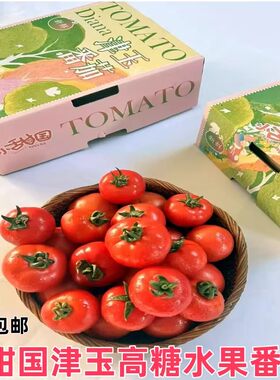 顺丰小甜国津玉高糖番茄原箱礼盒现摘新鲜静冈水果西红柿孕妇水果