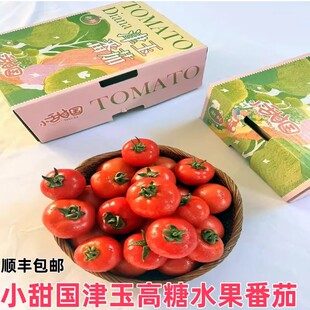 顺丰小甜国津玉高糖番茄原箱礼盒现摘新鲜静冈水果西红柿孕妇水果