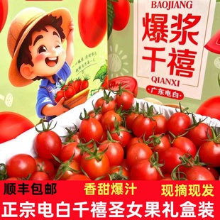 顺丰广东电白千禧小番茄礼盒装新鲜水果圣女果西红柿樱桃小柿子