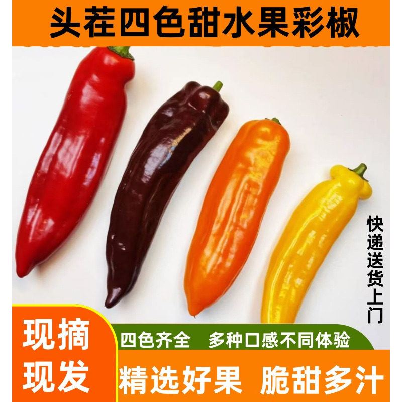 现摘甜水果长彩椒生吃不辣脆甜多汁五彩甜椒新鲜纯咖黑紫色彩椒,水产肉类/新鲜蔬果/熟食,辣椒,淘宝优惠券,粉丝福利购,淘宝优惠卷