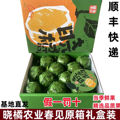 晓橘春见粑粑柑原箱礼盒静冈种源新鲜水果柑橘纯甜18度橘子精选