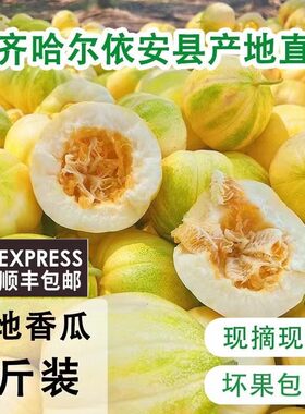 顺丰正宗东北大地香瓜特产小甜瓜新鲜现摘当季脆甜蜜瓜脆瓜白糖罐