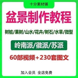 盆景制作技术视频教程岭南徽苏派工艺教学果树桩山水微型造型全套