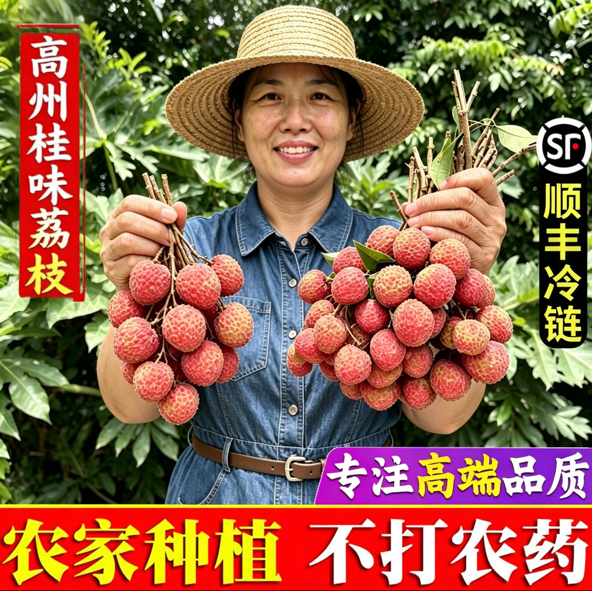 高州老树桂味荔枝广东茂名当季新鲜摘水果白糖糯米妃子罂糍笑顺丰