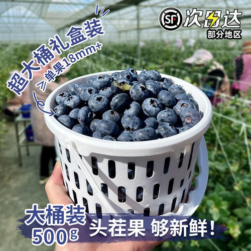 【盒装】云南L25花香蓝莓玉溪澄江抚仙湖高山新鲜果现摘当季水果